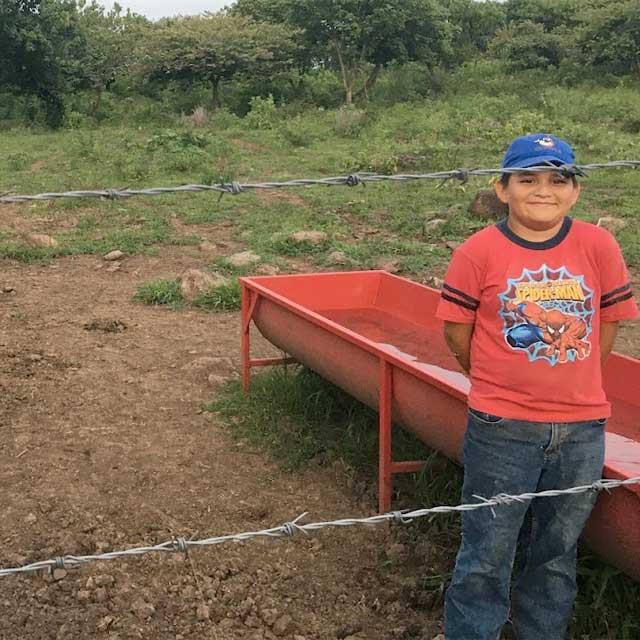lenam_farm_image4