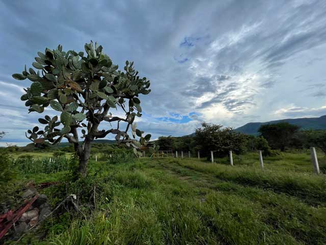 lenam_farm_image8w