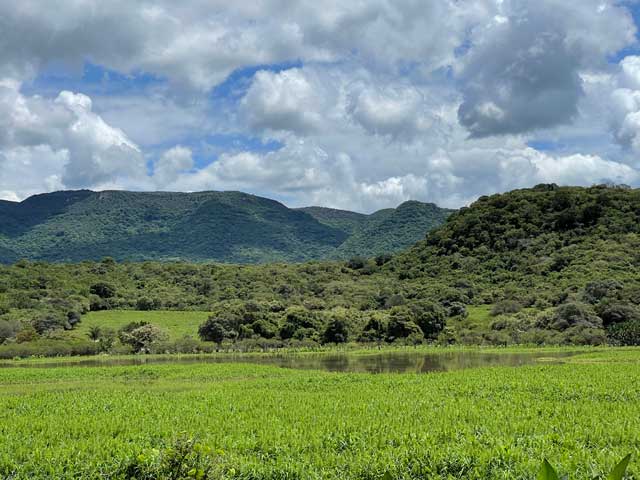 lenam_farm_image9w
